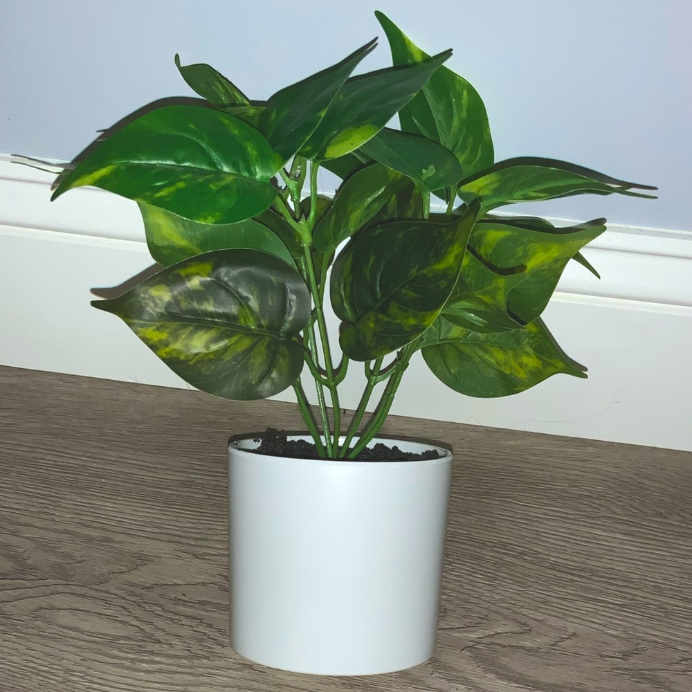 Faux Plant with Customizable Ceramic Holder